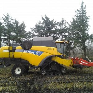 hostarbejde.jpg hostarbejde.jpg