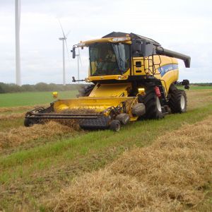 hostarbejde1.jpg hostarbejde1.jpg