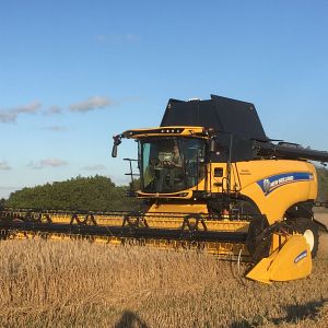 hostarbejde2.jpg hostarbejde2.jpg